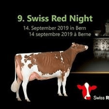 Swiss Red Night Bern